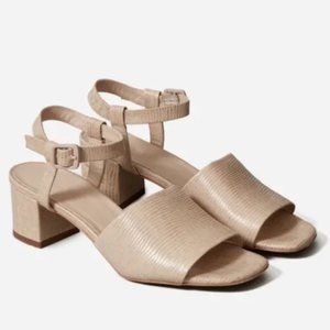 Everlane Block Heel Sandals